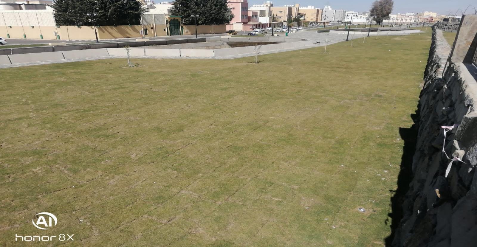 مسطحات خضراء وممرات داخل المشروع