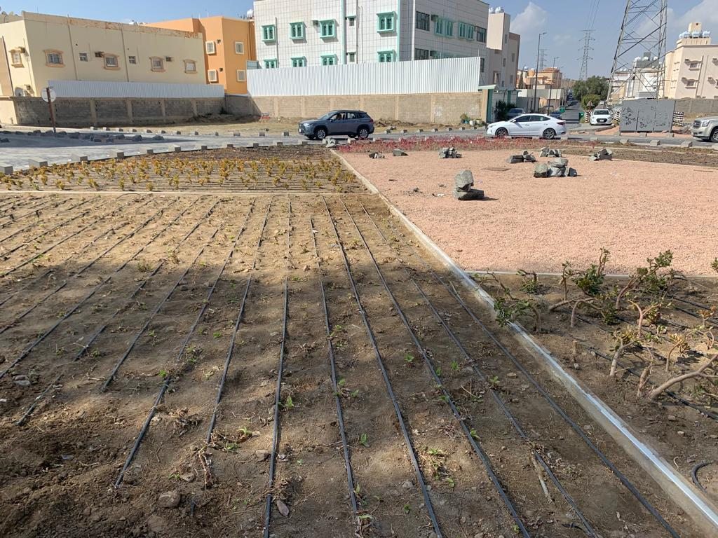 شبكة ري وزراعة ضمن المسطحات الخضراء